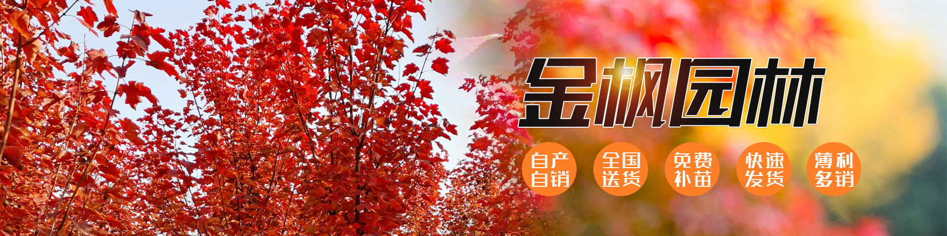 濟寧郎宇環(huán)保設備科技有限公司